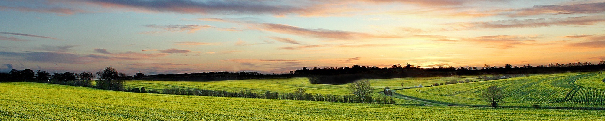 Hertfordshire countryside