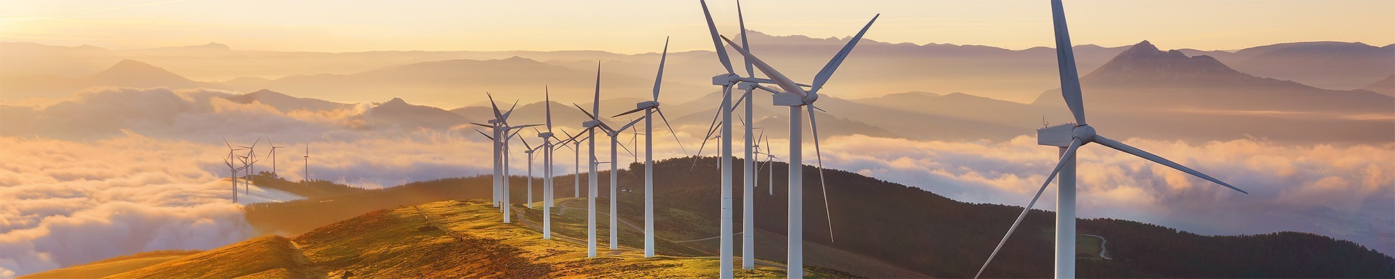 SSE customer service advisor job