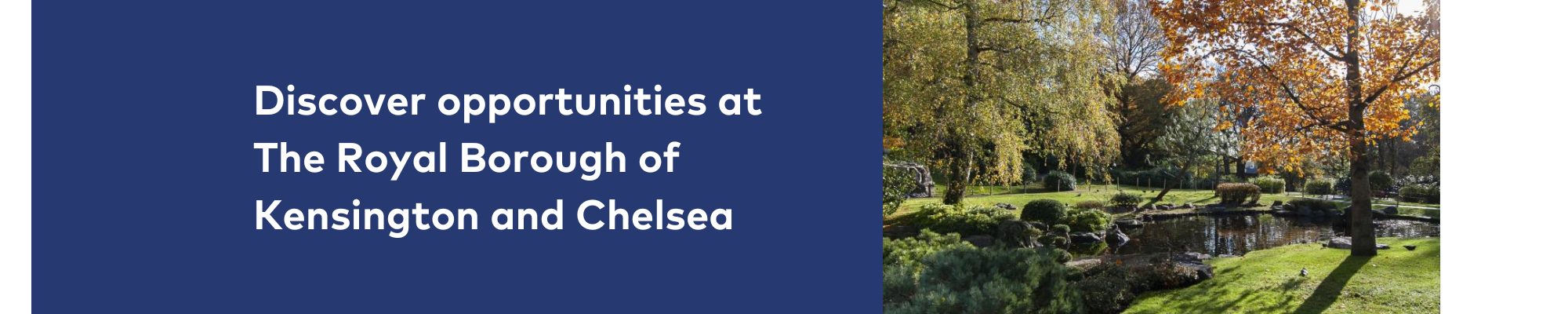 Banner Default Image